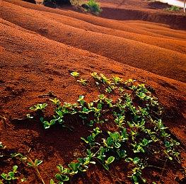 传言《霍格沃茨之遗》最终版明年推出 包含10-15小时新内容